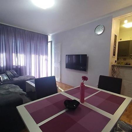 Cezar Apartment Belgrad Zewnętrze zdjęcie